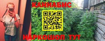 шишки Дубна