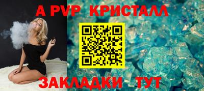 шишки Дубна