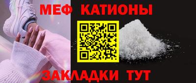 шишки Дубна
